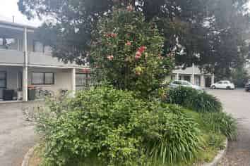 13/9 Trent Place , Fenton Park