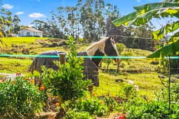 1123 State Highway 12, Kaikohe