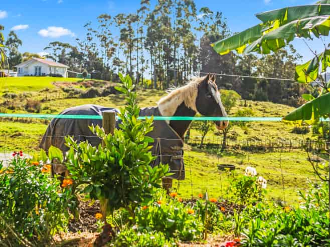 1123 State Highway 12, Kaikohe