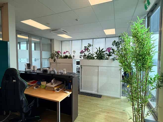 Premium office opportunity