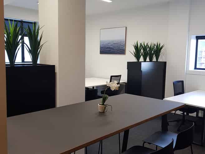 Light & Spacious Office