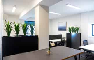 Light & Spacious Office