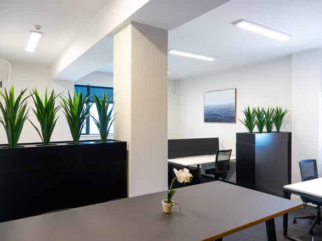 Light & Spacious Office