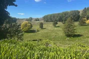 Lot Lots 6 & 7, 207 Rotowai Road, Omakere