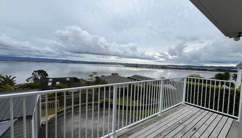 49 Hadfield Street, Beach Haven