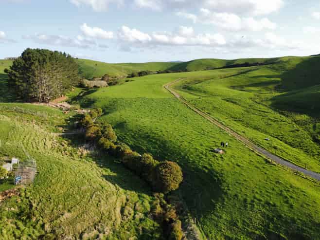 334d Mahuta Road, Mangatarata
