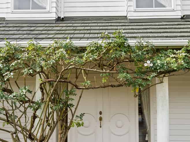 44 Heritage Avenue, Chartwell