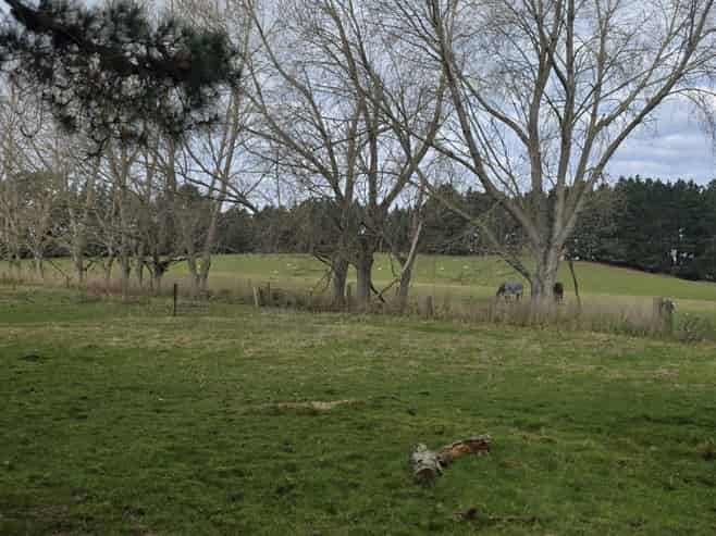 74 Frame Road, Waianakarua