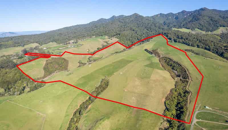 416 Corcoran Road, Te Pahu