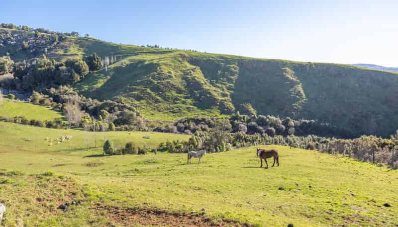 416 Corcoran Road, Te Pahu