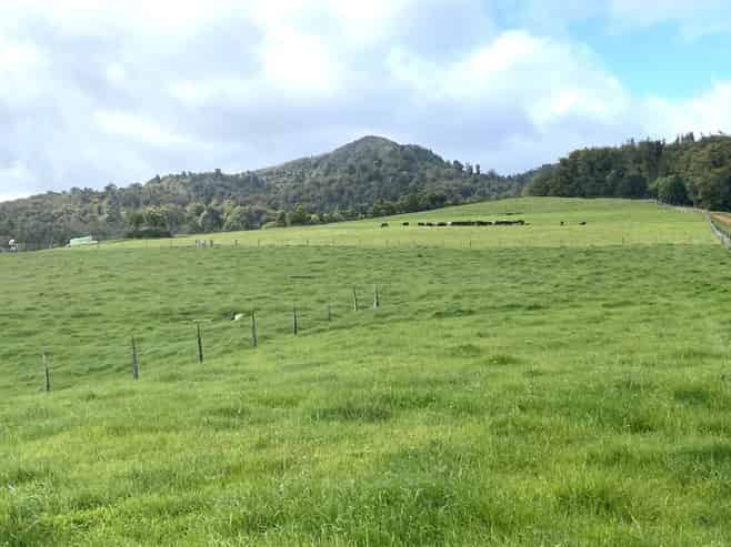 416 Corcoran Road, Te Pahu