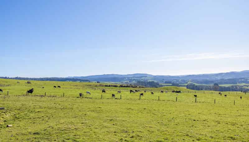 416 Corcoran Road, Te Pahu