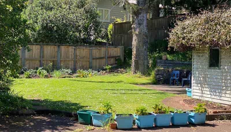 43a Valley Road, Mount Eden