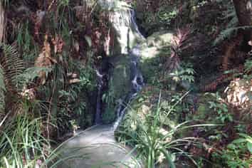 1261 Hukerenui Rd, Hukerenui