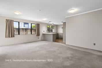 127 A-E Massey Street, Frankton