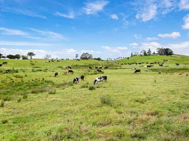 Lot 1&2/79 Tavinor Road, Otaika