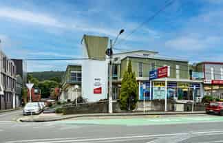 Established Healthcare Investment