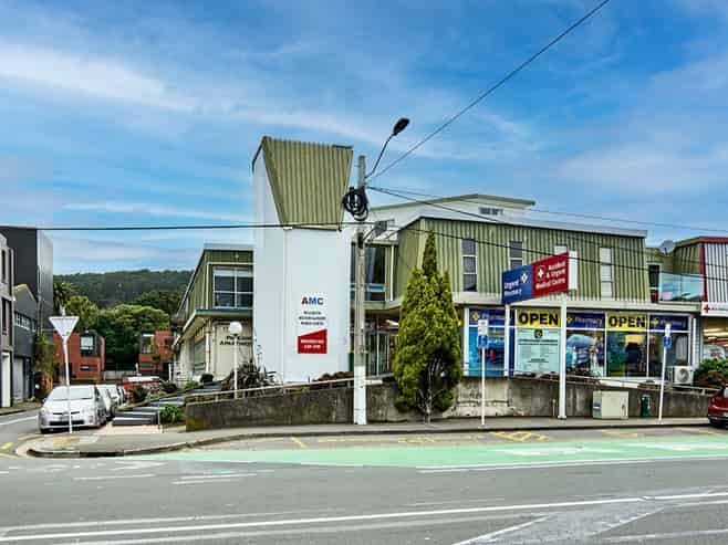 Established Healthcare Investment