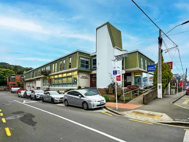 Established Healthcare Investment