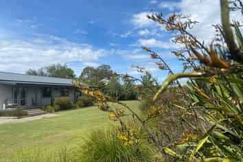 Hawkes Bay - Address withheld