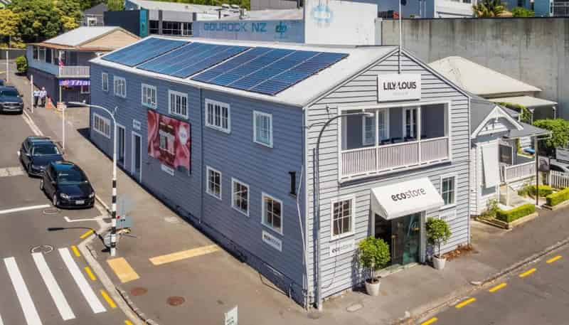 1A Scotland Street, Freemans Bay