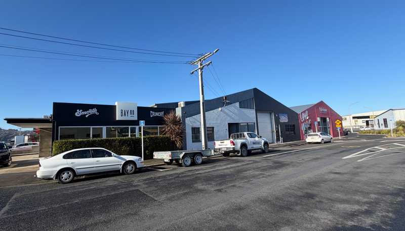 16 Roberts Street, Dunedin Central