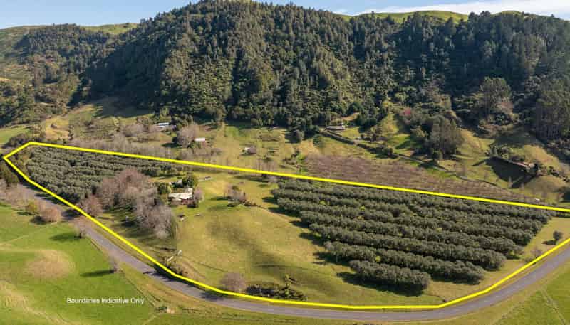888 & 910 Braemar Road, Rotoma