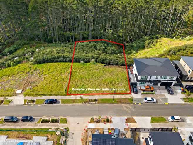 16 Bremner Ridge Street, Flat Bush