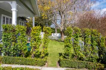 165 Whitaker Street, Whataupoko