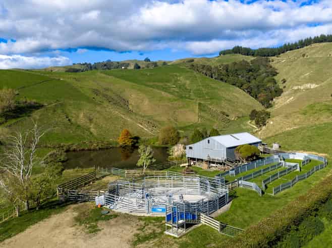 363 Grice Road, Rotoorangi