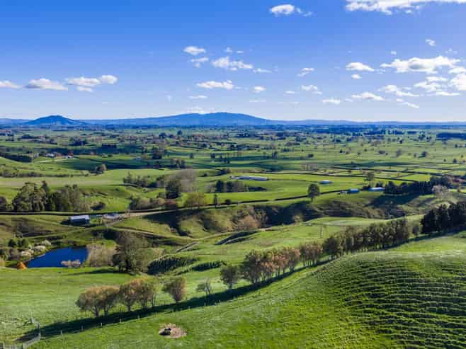 363 Grice Road, Rotoorangi