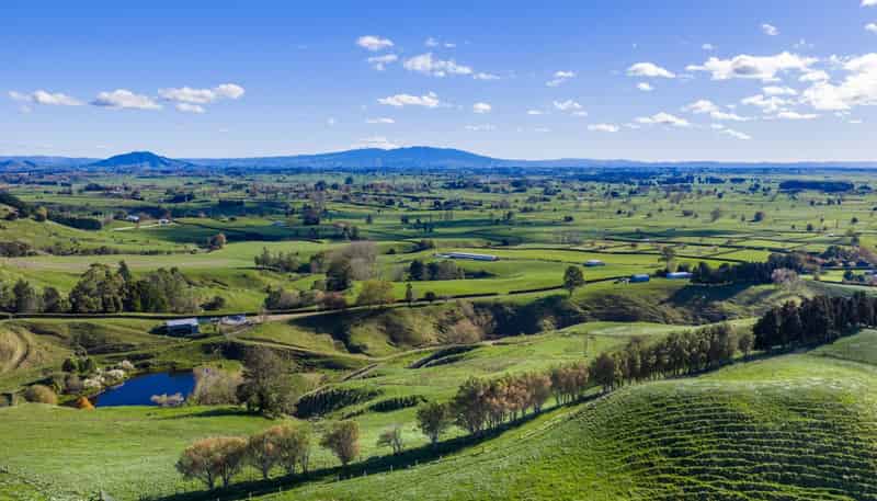 363 Grice Road, Rotoorangi