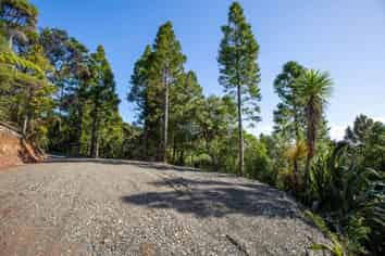 15 Te Aute Ridge Road, Waitakere