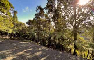 15 Te Aute Ridge Road, Waitakere