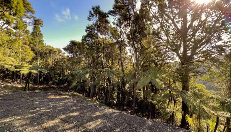 15 Te Aute Ridge Road, Waitakere