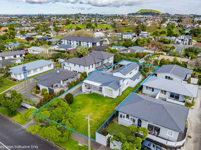 Owner Demands Action - Glendowie Border!
