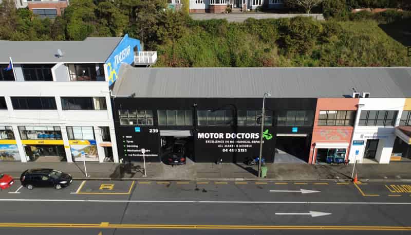  239 Thorndon Quay, Pipitea