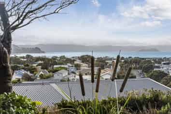 41A Mantell Street, Seatoun