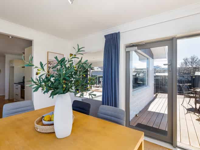 19 Leefield Street, Blenheim