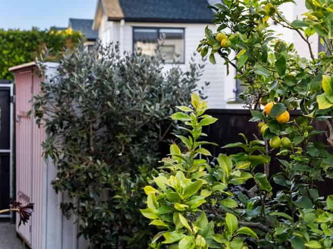 10 Takerei Way, Glen Innes