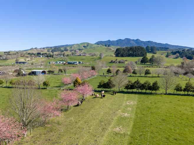 101 Ormsby Road, Pirongia
