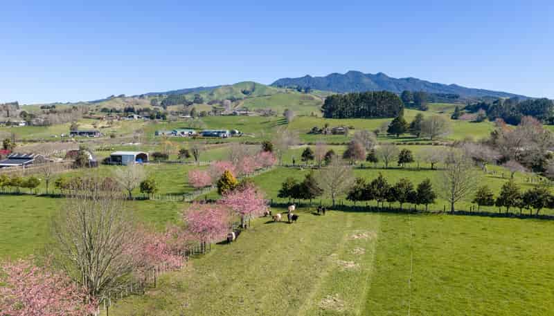 101 Ormsby Road, Pirongia