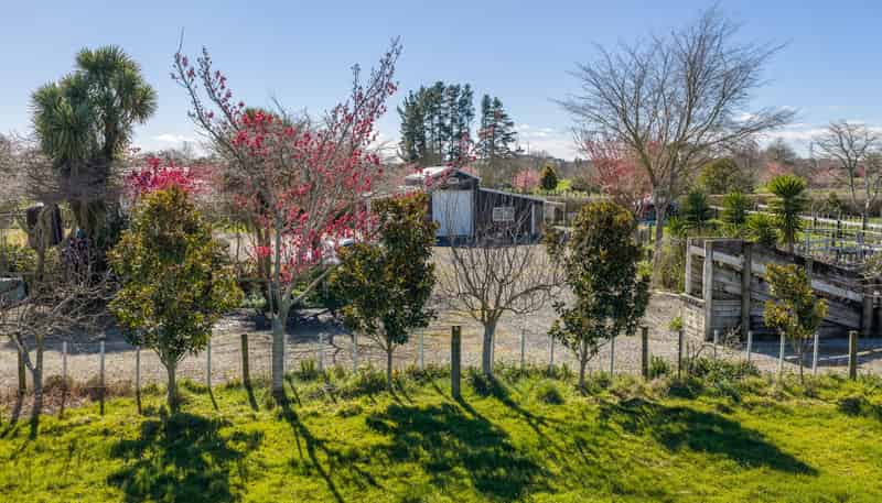 101 Ormsby Road, Pirongia