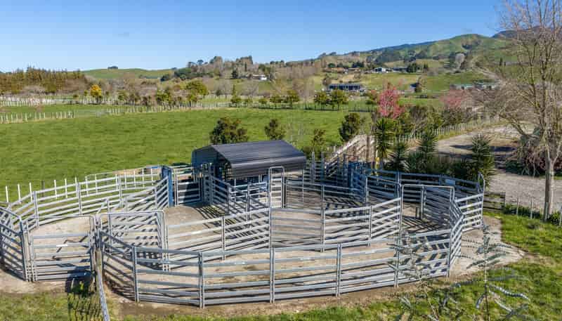 101 Ormsby Road, Pirongia