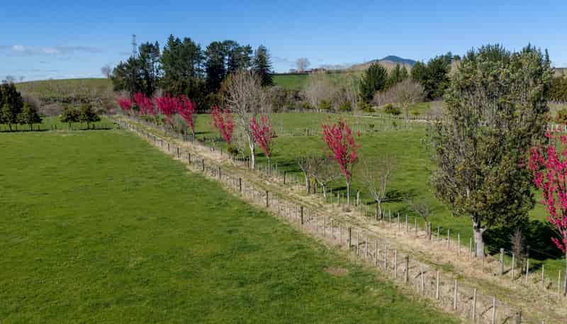 101 Ormsby Road, Pirongia