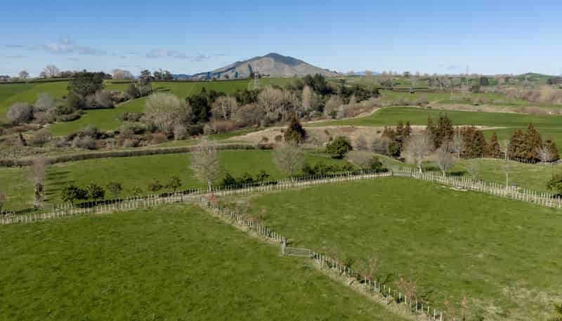 101 Ormsby Road, Pirongia
