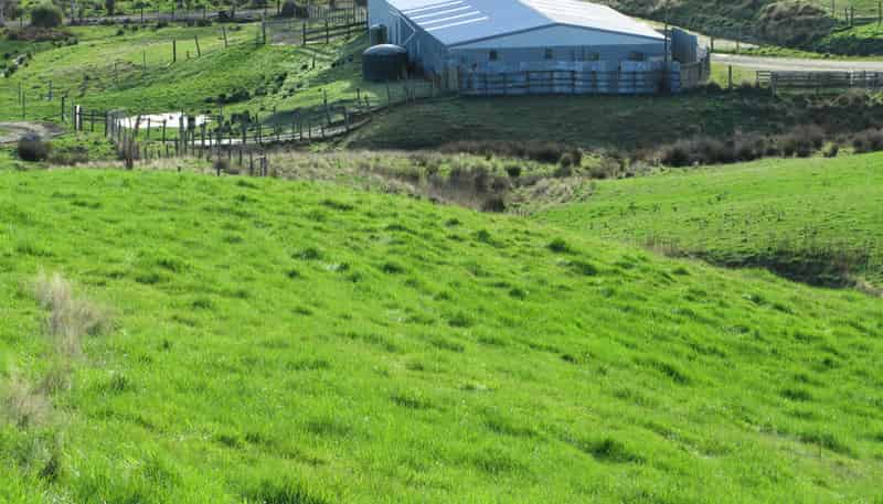 25 Keenan Road, Tuatapere