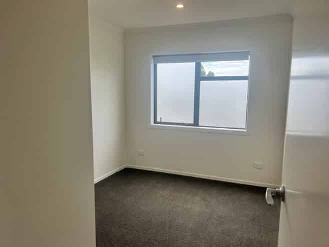 12/161 Nixon Street, Hamilton East