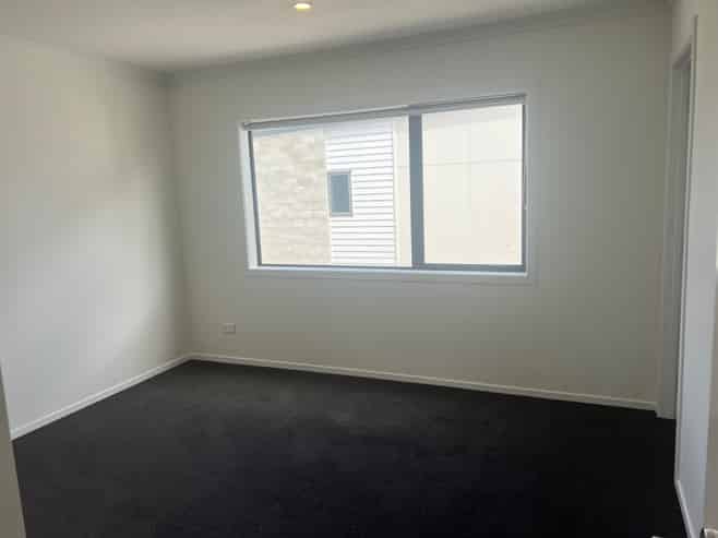 12/161 Nixon Street, Hamilton East