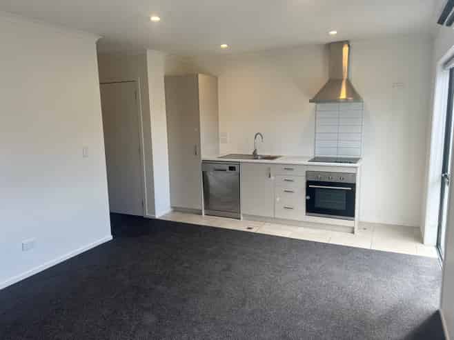 12/161 Nixon Street, Hamilton East